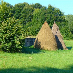 Е ... сено, сено ... ! Европей-й-йско сено!