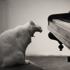 Against the Piano