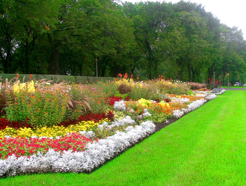 Chicago Garden  #1