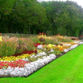 Chicago Garden  #1