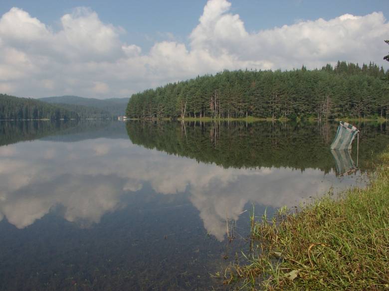 тиха вода
