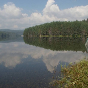 тиха вода