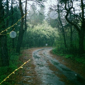 One more rainy day