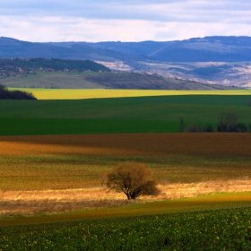 предбалкана