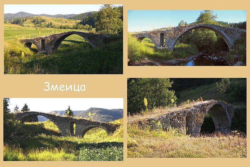 * Змеица *