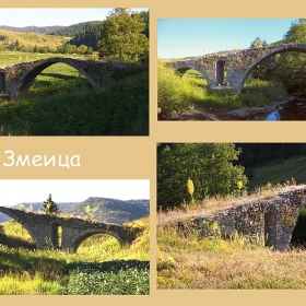 * Змеица *