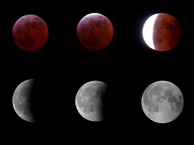 'Vive Vivitar' in the moonnight ;)
