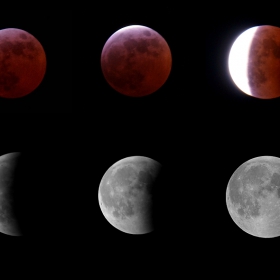 'Vive Vivitar' in the moonnight ;)