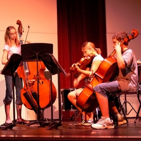 Cello,Bass and Viol(ino)a