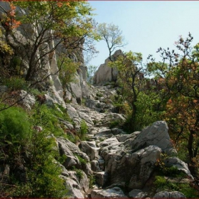 Каменна пътека