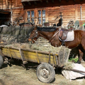 Планинска езда в Жеравна