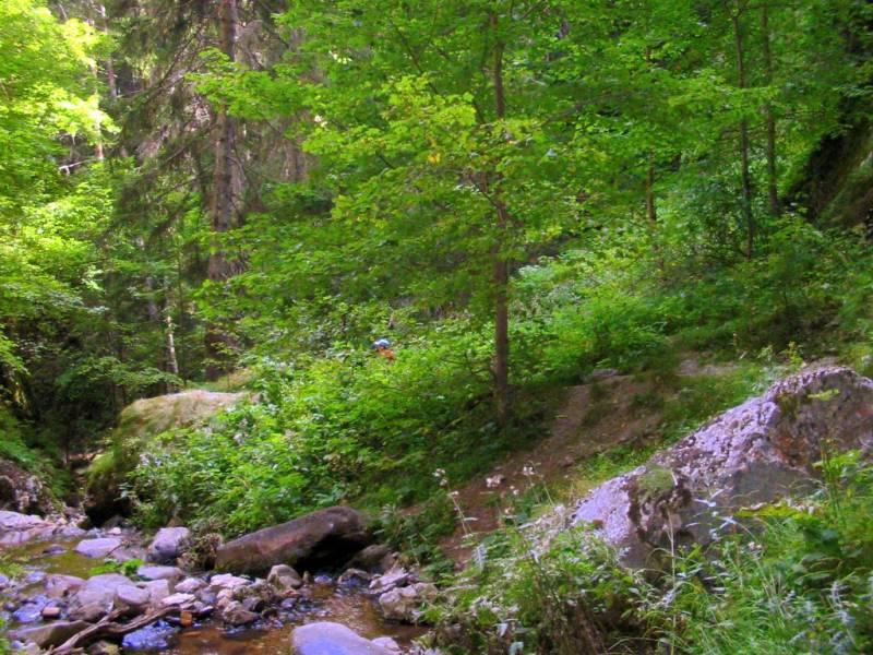 Bulgaria.
