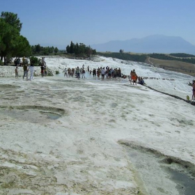 Pamu kale