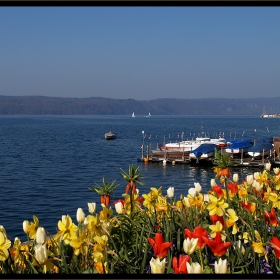 - Bodensee - Überlingen -