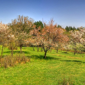 Пролетна панорама