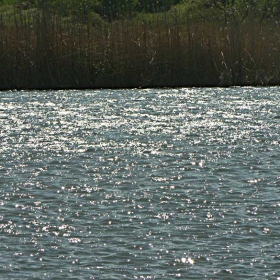звездната вода