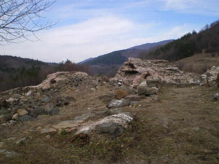 novo