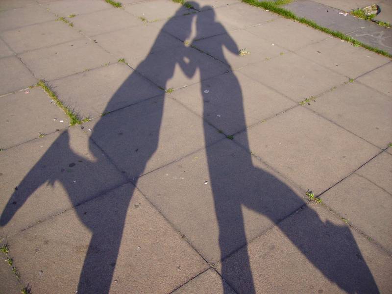 shadoshadowsws