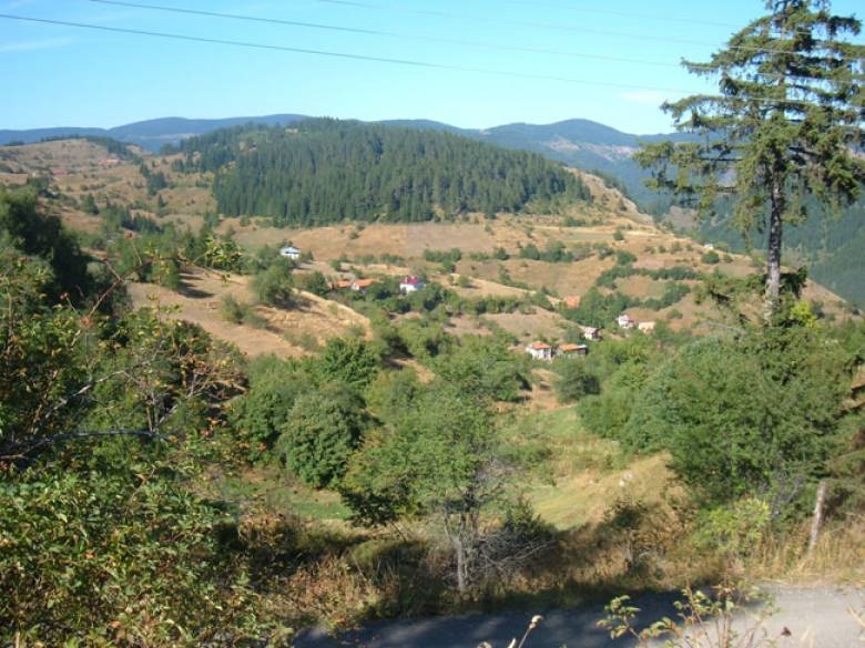 Красотата на Родопите