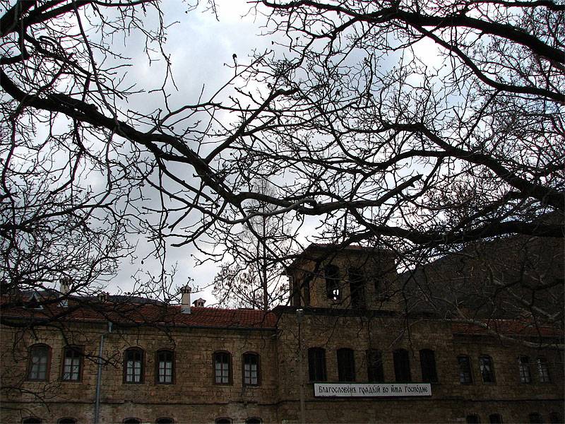 Клони сплетени на вярата свидетели