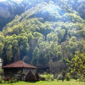 Нейде в Балкана