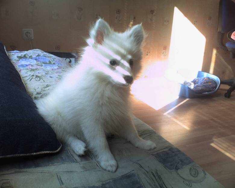 Снимка без име