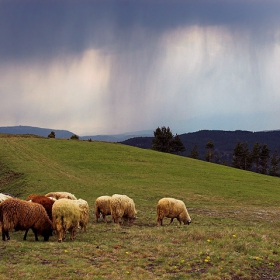 It's raining over there !!!