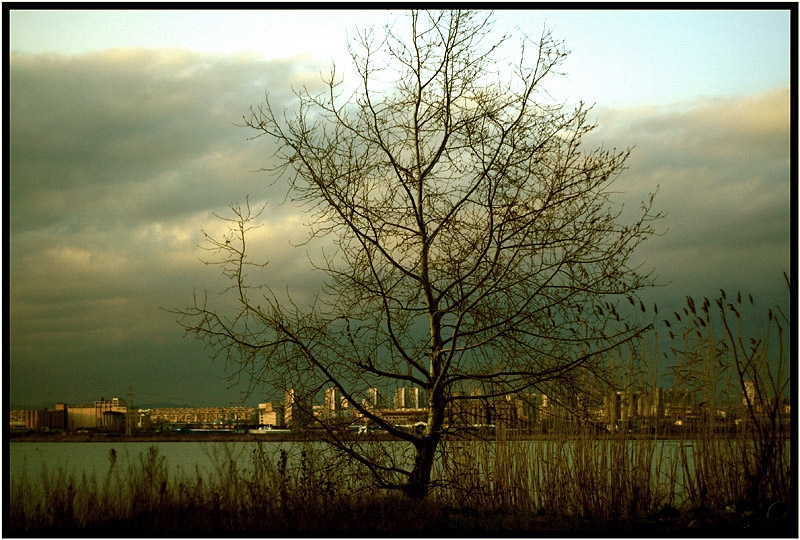 поглед