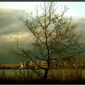 поглед