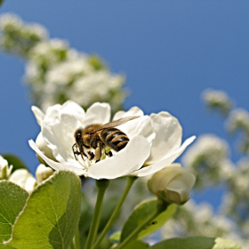 Na rabota