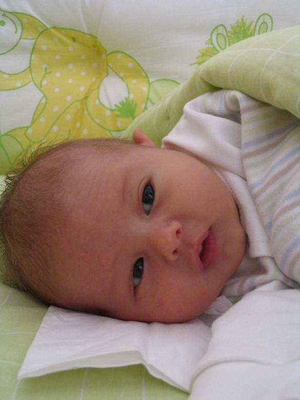 Bebe