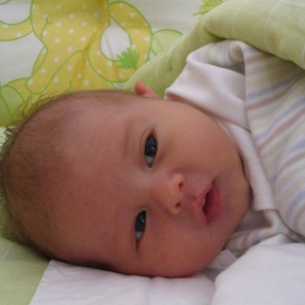 Bebe