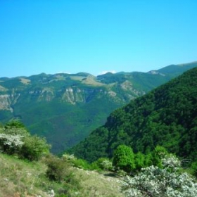 Planina