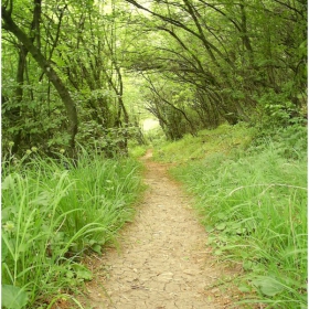 Way to devetaki cave