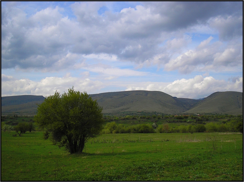 на западната граница