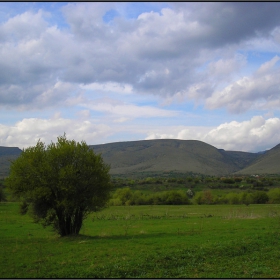 на западната граница