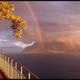 - Rainbow -