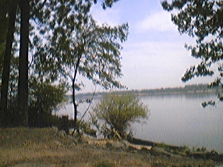 krasota