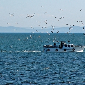 Улов