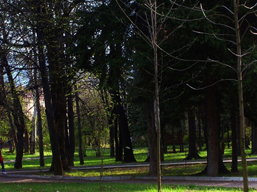 park