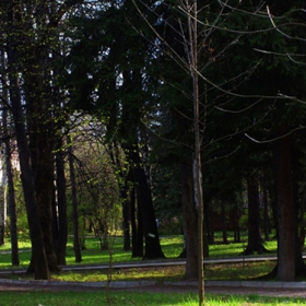 park