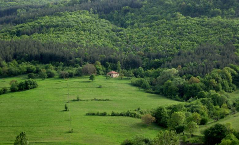 Къща в гората