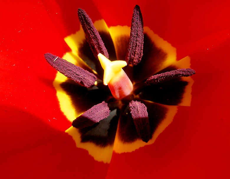 Vtora proba za Super macro