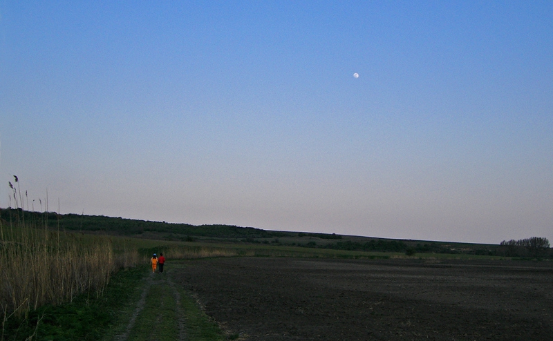Пътека до луната