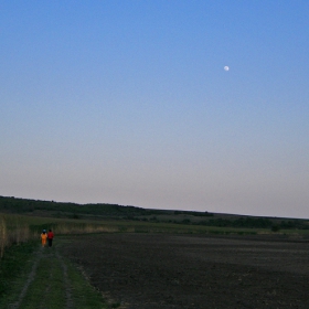 Пътека до луната