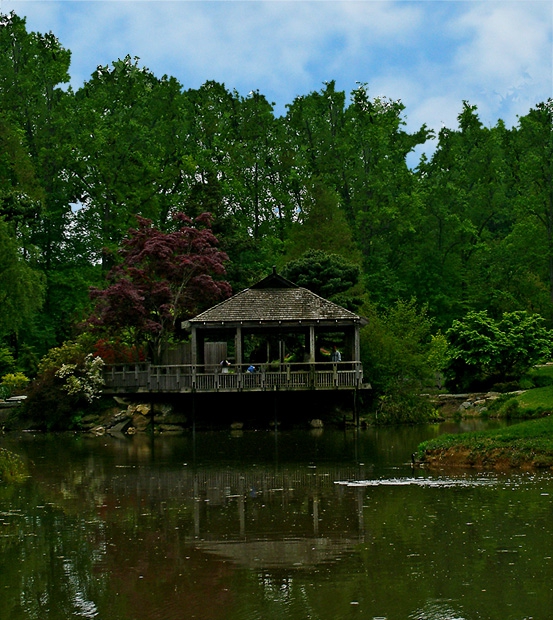 A Japanese house