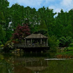 A Japanese house