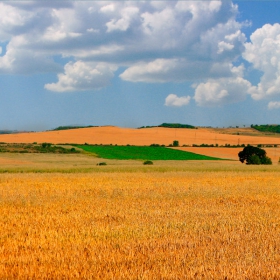 Пред нас са блеснали житата..........