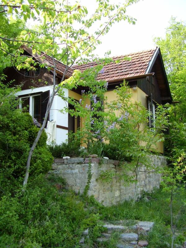 Тhe house of the rising sun...