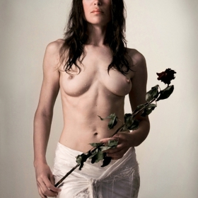 black rose